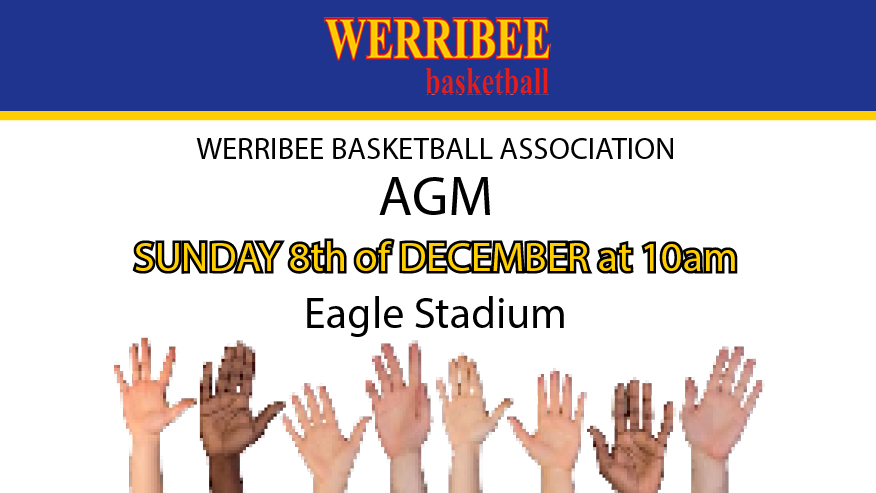 Werribee Basketball's AGM