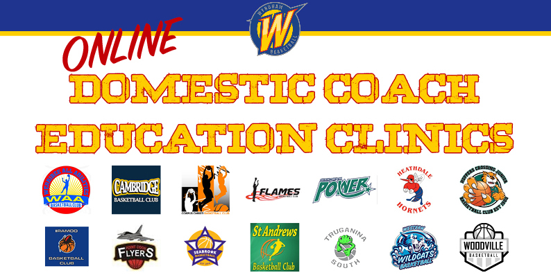 Online Domestic Coaching Education Clinics