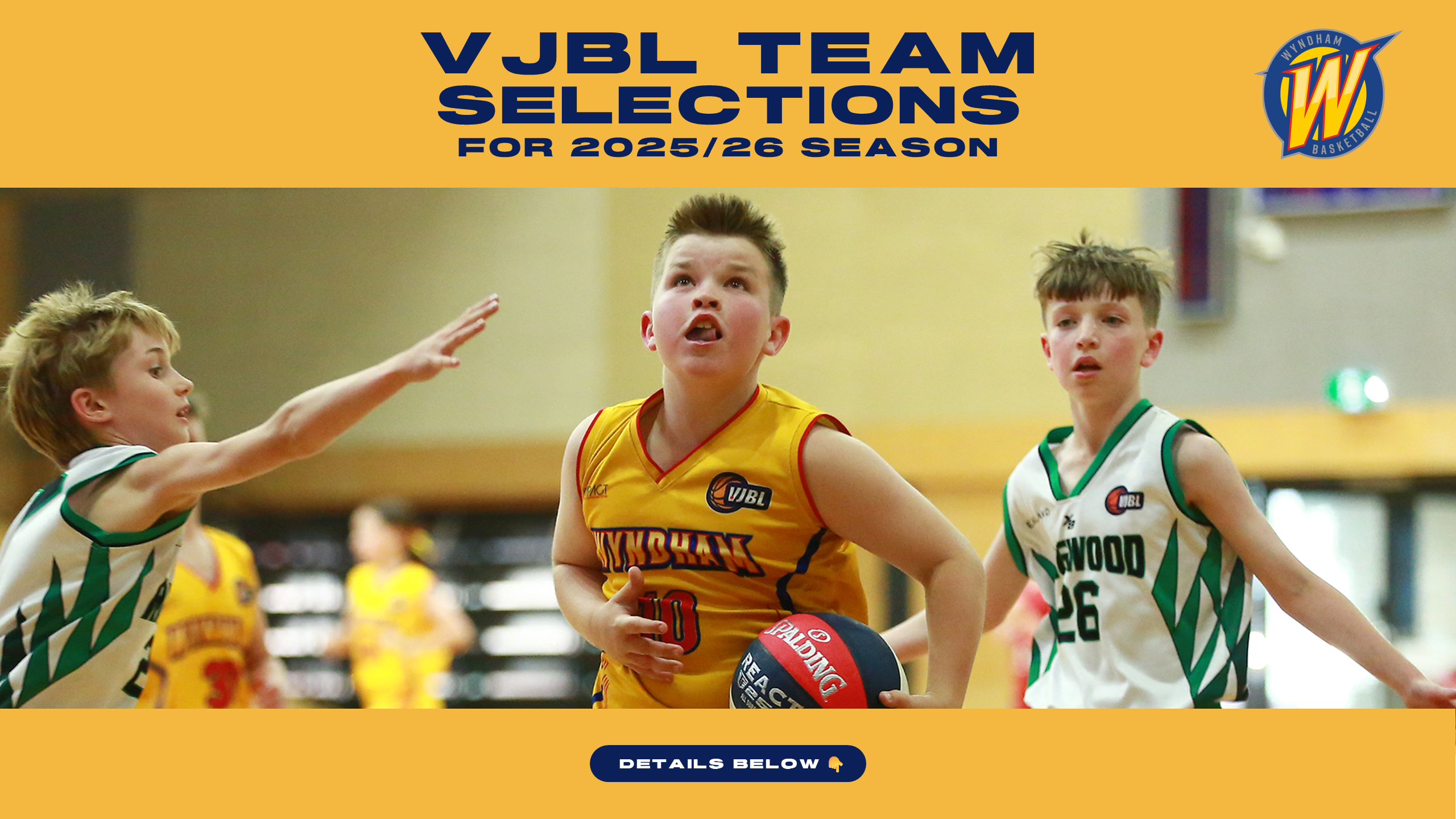 VJBL Team Selections